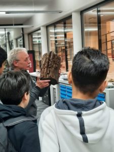 Ton laat een versteende boomstam zien